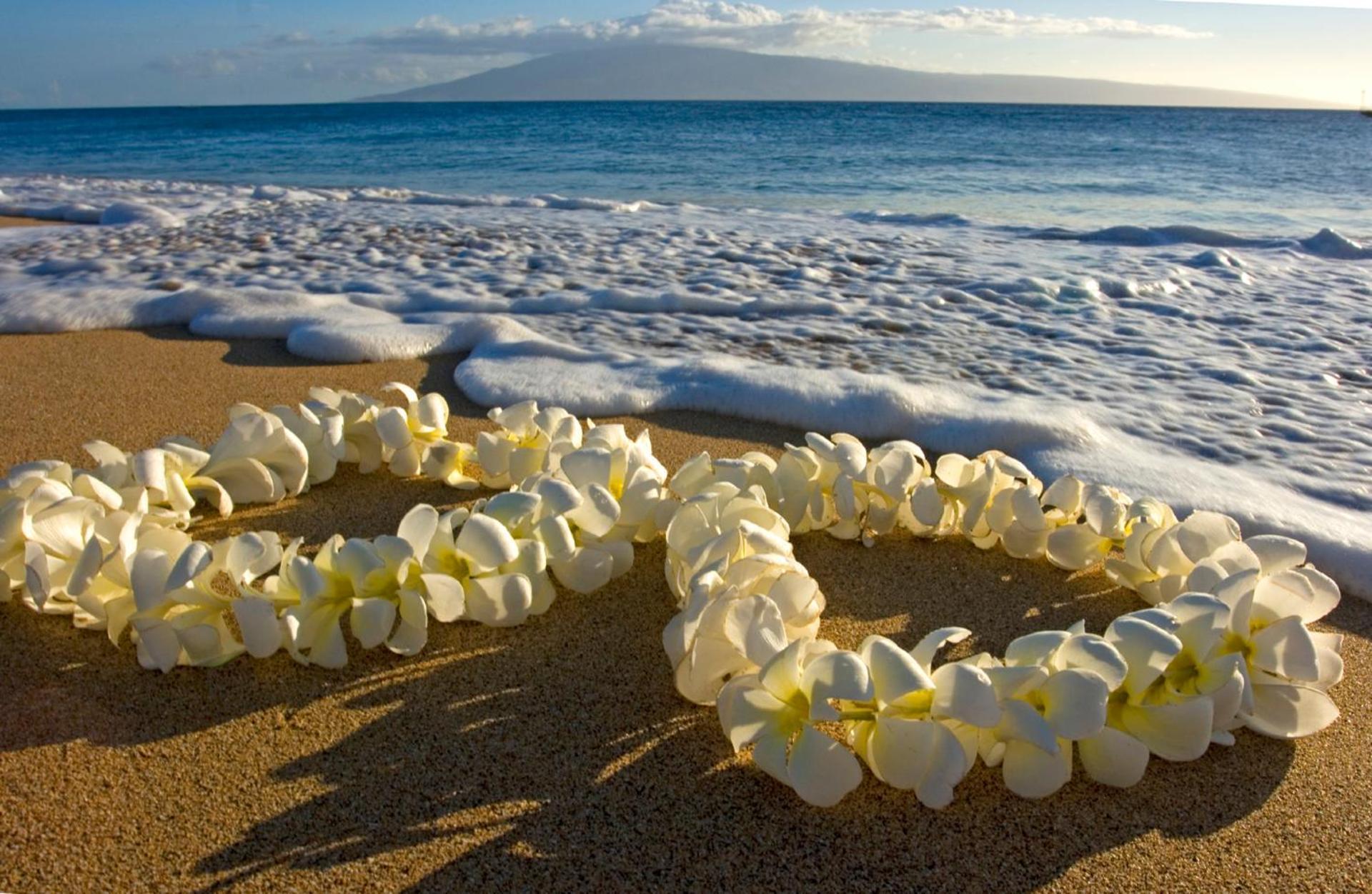 Renovated Ocean View Suite, Near Beach, Free Parking Honolulu Zewnętrze zdjęcie