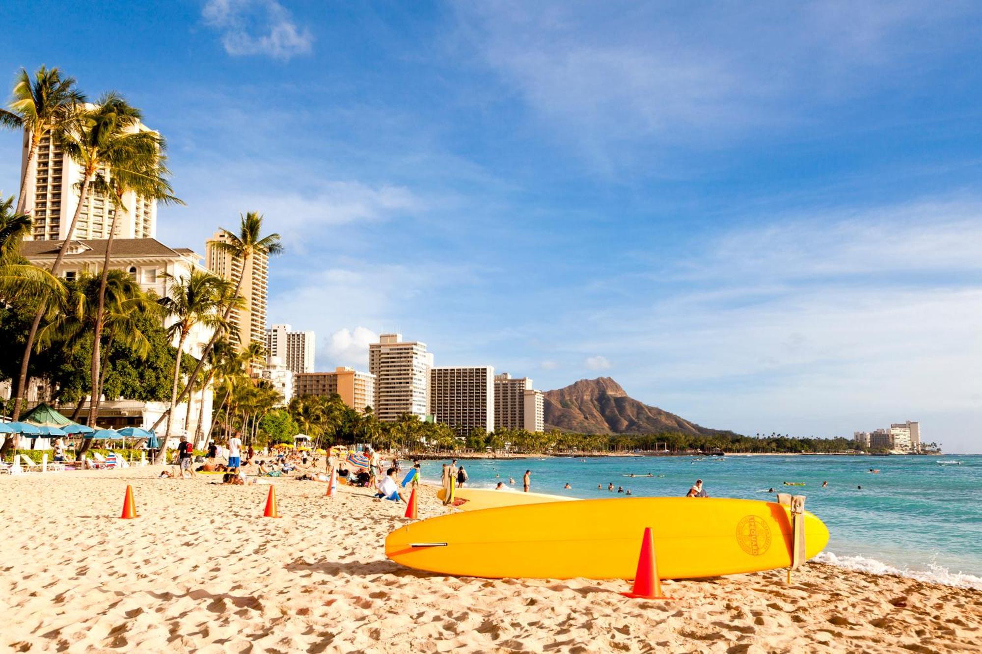 Renovated Ocean View Suite, Near Beach, Free Parking Honolulu Zewnętrze zdjęcie
