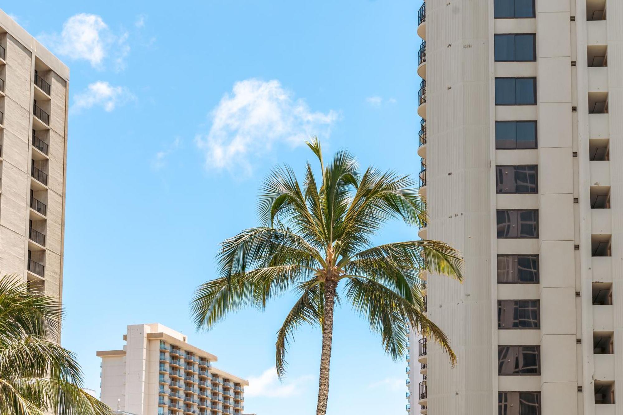 Renovated Ocean View Suite, Near Beach, Free Parking Honolulu Zewnętrze zdjęcie