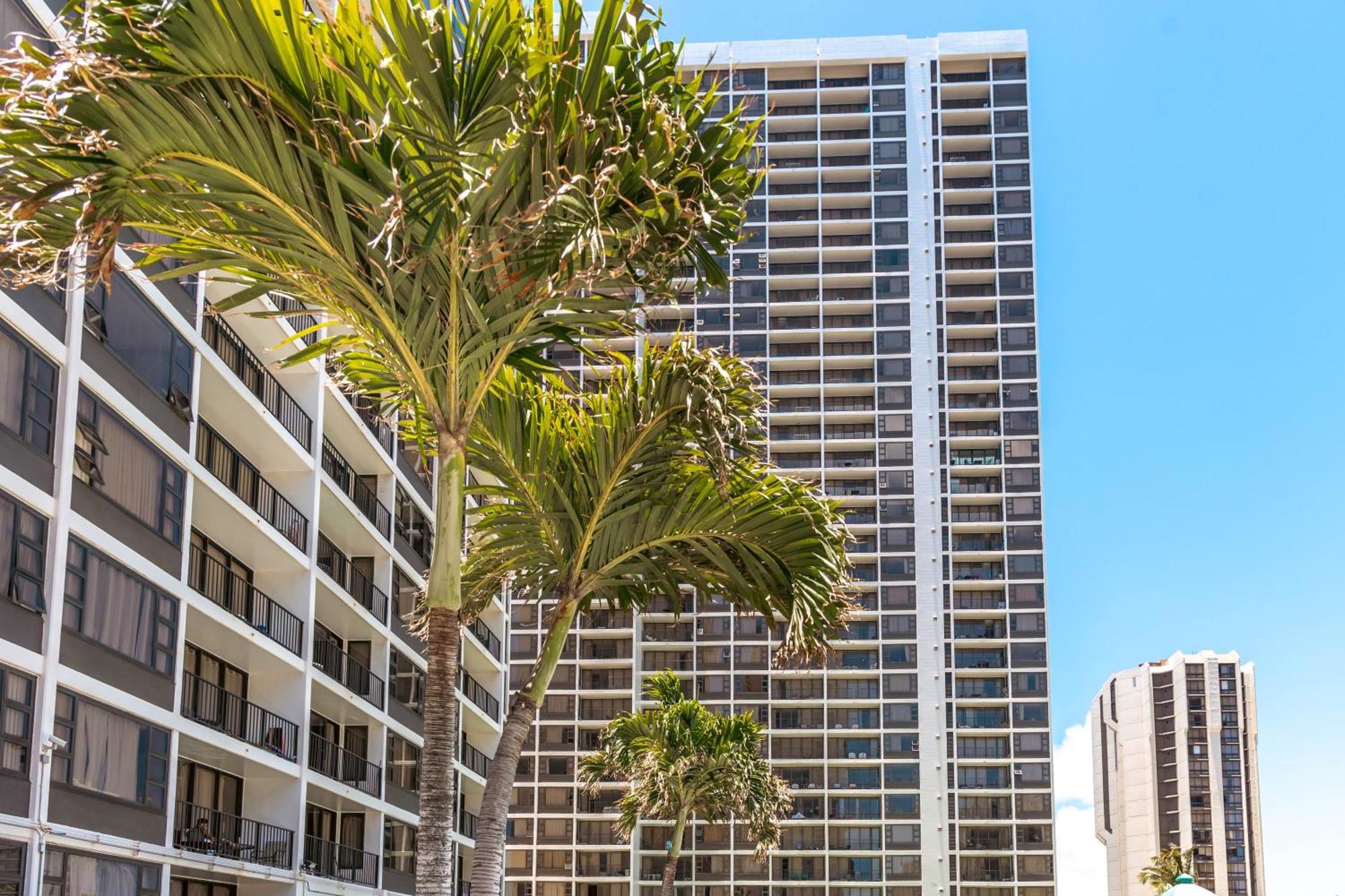 Renovated Ocean View Suite, Near Beach, Free Parking Honolulu Zewnętrze zdjęcie
